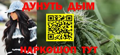 крисы Кулебаки