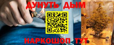 крисы Кулебаки