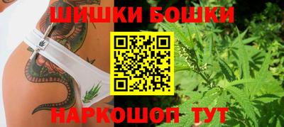 крисы Кулебаки