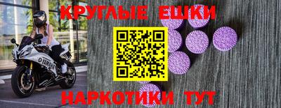 крисы Кулебаки