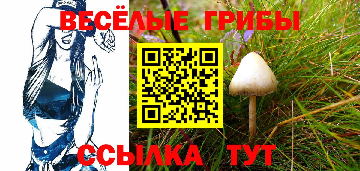 ГАШ Камышлов