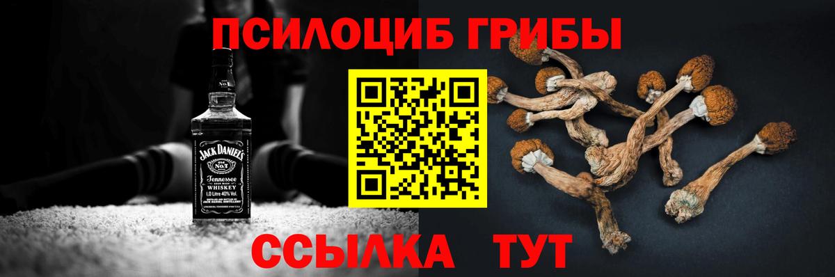 Камышлов  где можно купить   Вход с VPN  Псилоцибиновые грибы прущие грибы 